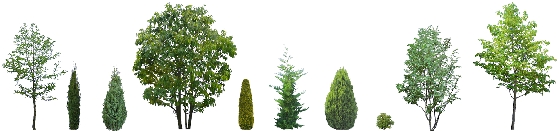 20090828_1159_02_0234w559_h344_popup.JPG 20090828_1159_02_0234w559_h344_popup.JPG