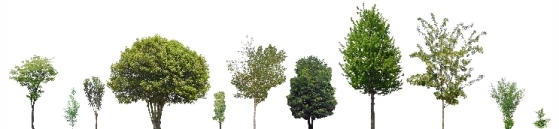 20090828_1159_02_0234w559_h344_popup.JPG 20090828_1159_02_0234w559_h344_popup.JPG