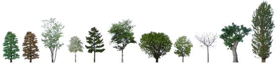 ClipboardImage ClipboardImage