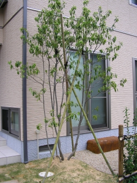 ¥Ê¥¤¥¹¥·¥ç¥Ã¥È ¥Ê¥¤¥¹¥·¥ç¥Ã¥È