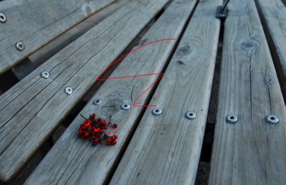 20120209_1127_21_0296w800_h516 20120209_1127_21_0296w800_h516