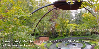 ǥ˥󥰥ɥåץե硼in JAPAN / / / / / / / /