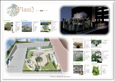 ֥󡦥ǥ󡦥ƥ2013̤