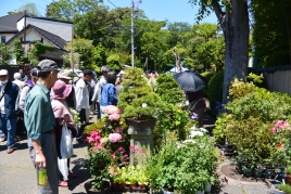 ¥ª¡¼¥»¥Ö¥óÀß·×¼¼ÊؤêÂçµÜÂçËßºÏ¤Þ¤Ä¤ê ¥ª¡¼¥»¥Ö¥óÀß·×¼¼ÊؤêÂçµÜÂçËߺϤޤĤê