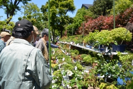 ¥ª¡¼¥»¥Ö¥óÀß·×¼¼ÊؤêÂçµÜÂçËßºÏ¤Þ¤Ä¤ê ¥ª¡¼¥»¥Ö¥óÀß·×¼¼ÊؤêÂçµÜÂçËߺϤޤĤê