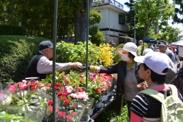 ¥ª¡¼¥»¥Ö¥óÀß·×¼¼ÊؤêÂçµÜÂçËßºÏ¤Þ¤Ä¤ê ¥ª¡¼¥»¥Ö¥óÀß·×¼¼ÊؤêÂçµÜÂçËߺϤޤĤê