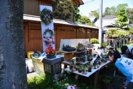 ¥ª¡¼¥»¥Ö¥óÀß·×¼¼ÊؤêÂçµÜÂçËßºÏ¤Þ¤Ä¤ê ¥ª¡¼¥»¥Ö¥óÀß·×¼¼ÊؤêÂçµÜÂçËߺϤޤĤê