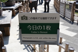 ¥ª¡¼¥»¥Ö¥óÀß·×¼¼ÊؤêÂçµÜÂçËßºÏ¤Þ¤Ä¤ê ¥ª¡¼¥»¥Ö¥óÀß·×¼¼ÊؤêÂçµÜÂçËߺϤޤĤê