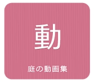 e-tokoư轸/By You Tube / / / / / / /