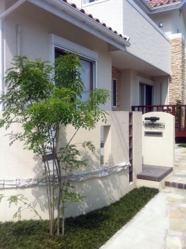 cameraroll-1295497802.296685