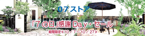 ֥netshop 07ȥ / / / /