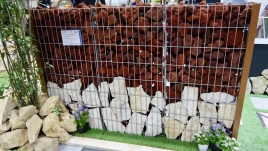 exe2017 - 7 / / / / / /