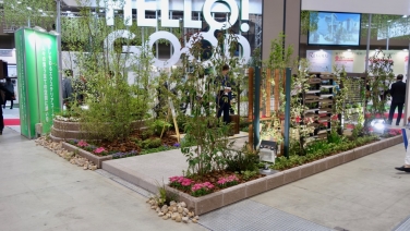 exe2017 - 24 / / / / / / /