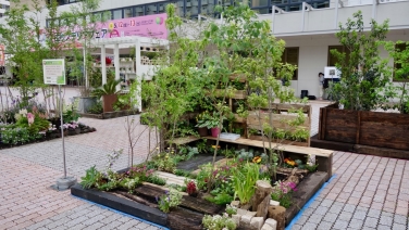 彣Ÿ񥬡ǥ - 4 / / /