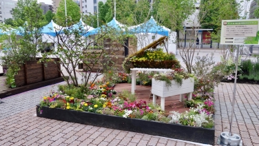 彣Ÿ񥬡ǥ - 12 / / /