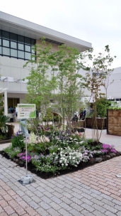 彣Ÿ񥬡ǥ - 2 / / /