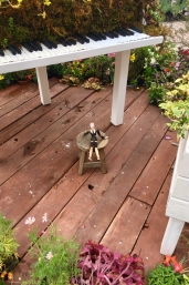 彣Ÿ񥬡ǥ - 15 / / /