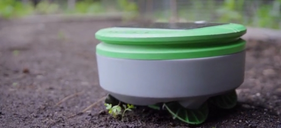 weeding robot /