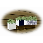 ClipboardImage ClipboardImage