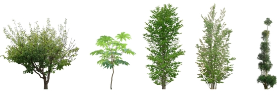 追加樹木2 追加樹木2