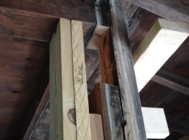 NiwaNaviImage NiwaNaviImage