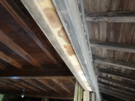 NiwaNaviImage NiwaNaviImage