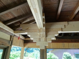 NiwaNaviImage NiwaNaviImage