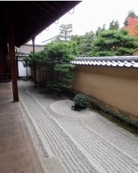 20191221_1708_23_0779w268_h251