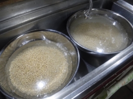 NiwaNaviImage NiwaNaviImage