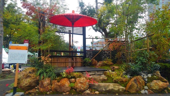 17ë६ǥ˥󥰥硼2019Υǥǡͥޡʥǥޡˡפ