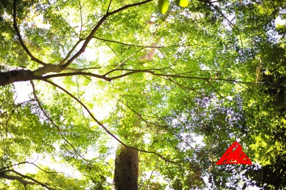 b53c274a8bca7e9b11623dd8141d5d2e b53c274a8bca7e9b11623dd8141d5d2e