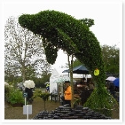 륫Υȥԥ꡼¾ˤڥ󥮥Ļʤ