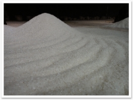 򤤺ώơʤΤƤϹƤǤ