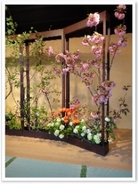 Ȭźǥޥꡢʥ󥭥դβ֡Ǥ