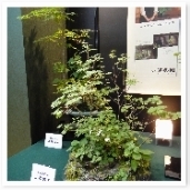 ̤κʡޤǾʷëˤ褦ʵʬ