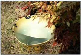 20100731_0824_24_0758w268_h181_popup