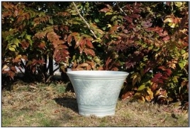 20100731_0841_08_0054w268_h180_popup