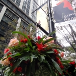 ڴݤ̤ꥬǥ˥󥰥硼2011ۤΤؤ