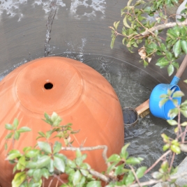 ¿å¤òÆþ¤ì¤Þ¤¹ ¿å¤òÆþ¤ì¤Þ¤¹