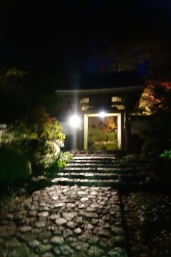  ζ߬դޤĤꡦλŸ ̸02 /