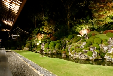  ζ߬դޤĤꡦλŸ ̸08 /