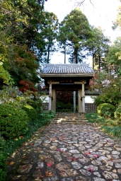 սθ̸޻ꡡ1 - 06 / /