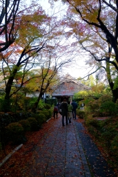 սθ̸޻ꡡ1 - 09 / /