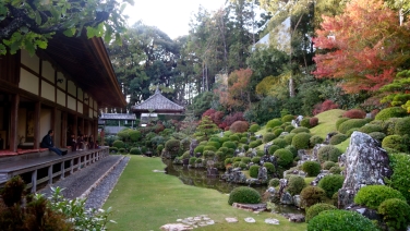 սθ̸޻ꡡ1 - 17 / /