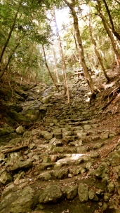 սθ̸޻ꡡ2 - 15 / / / / /